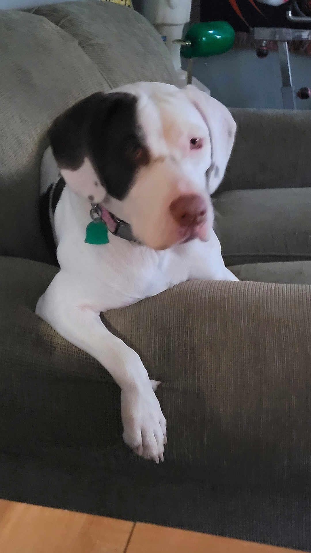 Molly