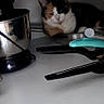 appliance, cabinet, calico_cat, cat, countertop, cozy, curled_up, domestic_animal, face, feline, home, indoor, kitchen, pet, quiet, resting, shadow, small_space, still_life, utensils