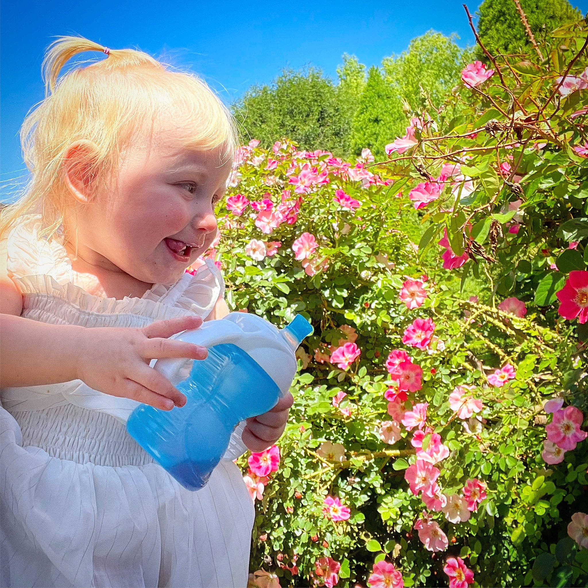 Adalee joined the competition — help win amazing prizes! baby, baby_toddler_clothing, botany, child, dress, flower, flowering_plant, grass, happy, iris, meadow, people_in_nature, person, petal, pink, plant, shrub, sky, smile, toddler