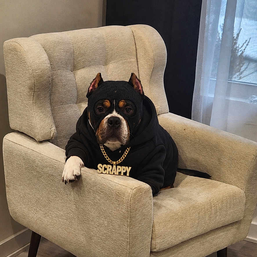 Scrappy
