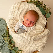 Colson joined the competition — help win amazing prizes! baby, newborn, blanket, basket, greenery, smile, cute, portrait, soft_texture, infant, wrapped, cozy, adorable, child, laying, indoors, warm, natural_light, peaceful, toddler