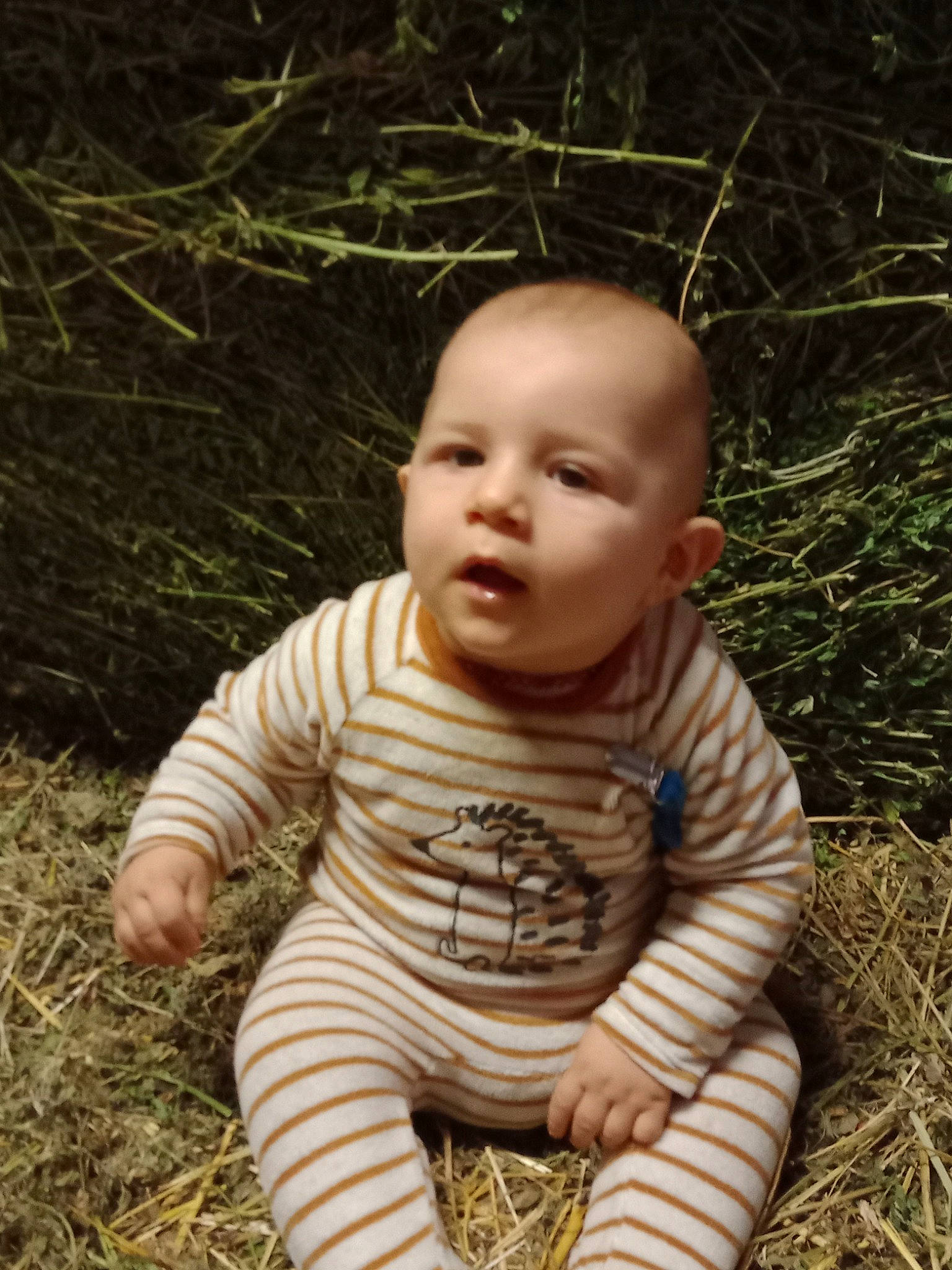 Maé a rejoint le concours — aidez-le/la à gagner de superbes lots ! art, baby, baby_toddler_clothing, cheek, child, eye, finger, grass, hairstyle, happy, head, nose, people_in_nature, person, plant, sitting, skin, soil, toddler, tree