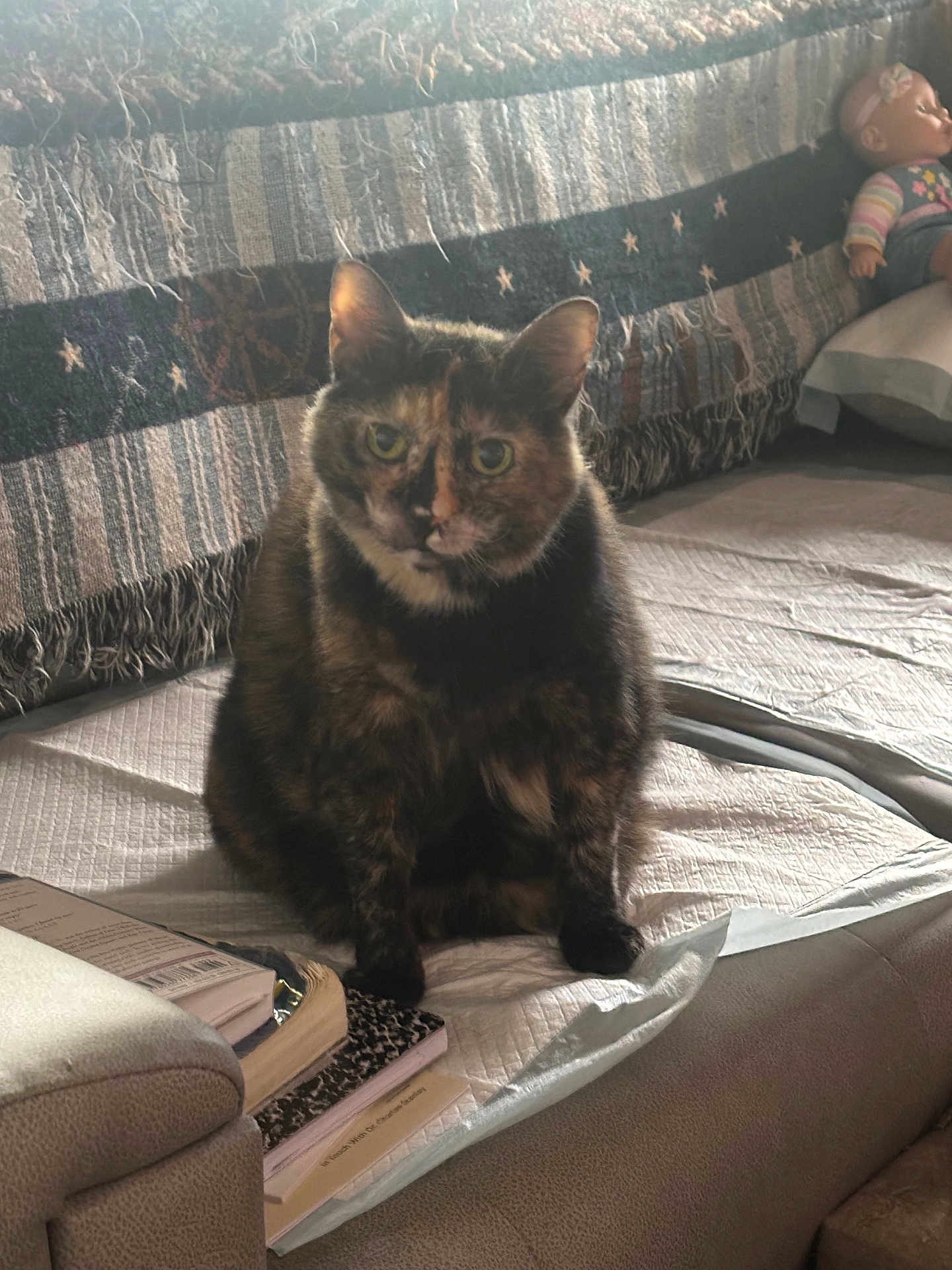 Mia