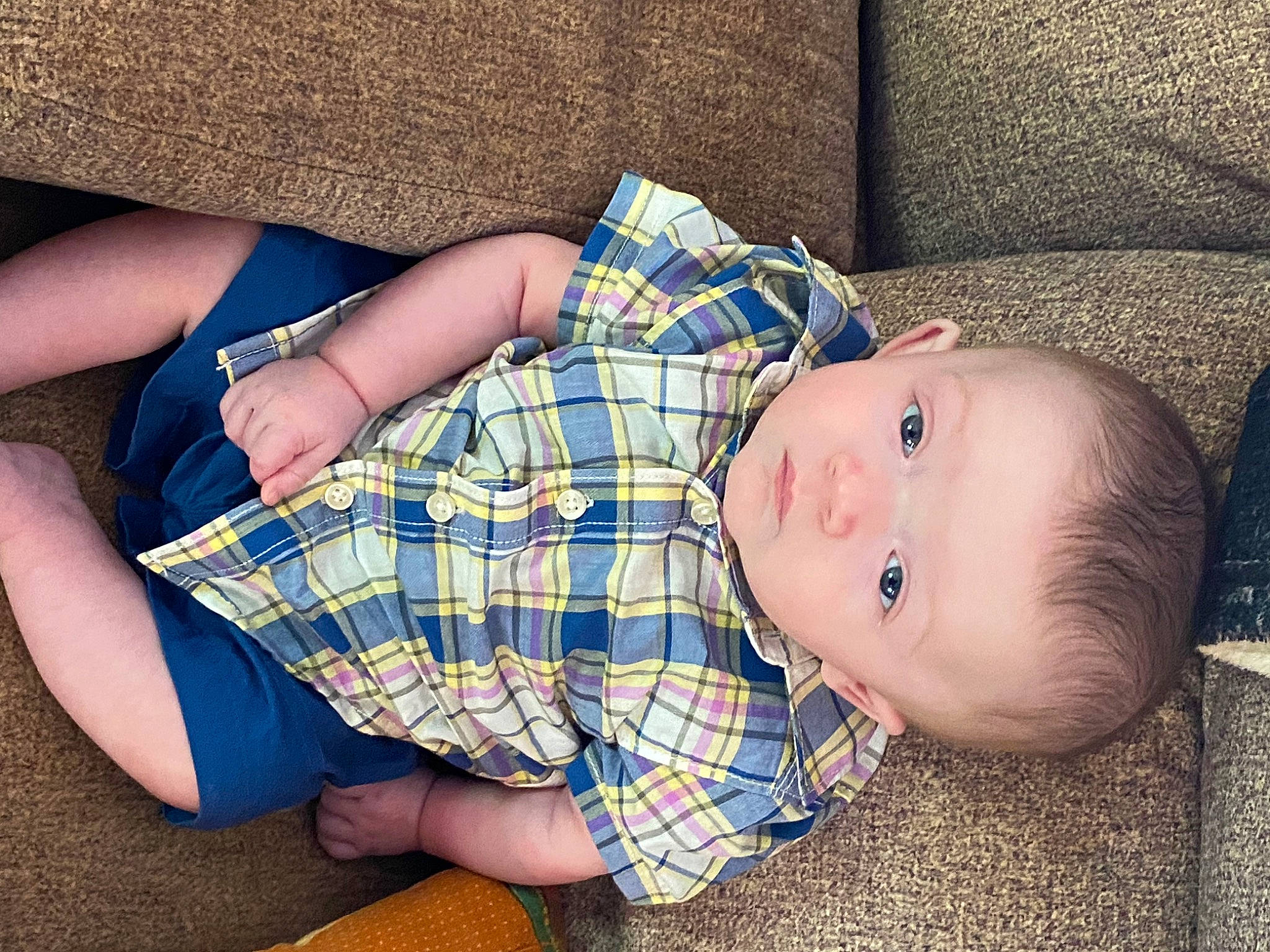Gabriel is registered to the contest to win money with this photo: baby, baby_toddler_clothing, cheek, chest, child, comfort, elbow, electric_blue, finger, human_body, human_leg, knee, pattern, person, plaid, sitting, skin, tartan, thigh, toddler