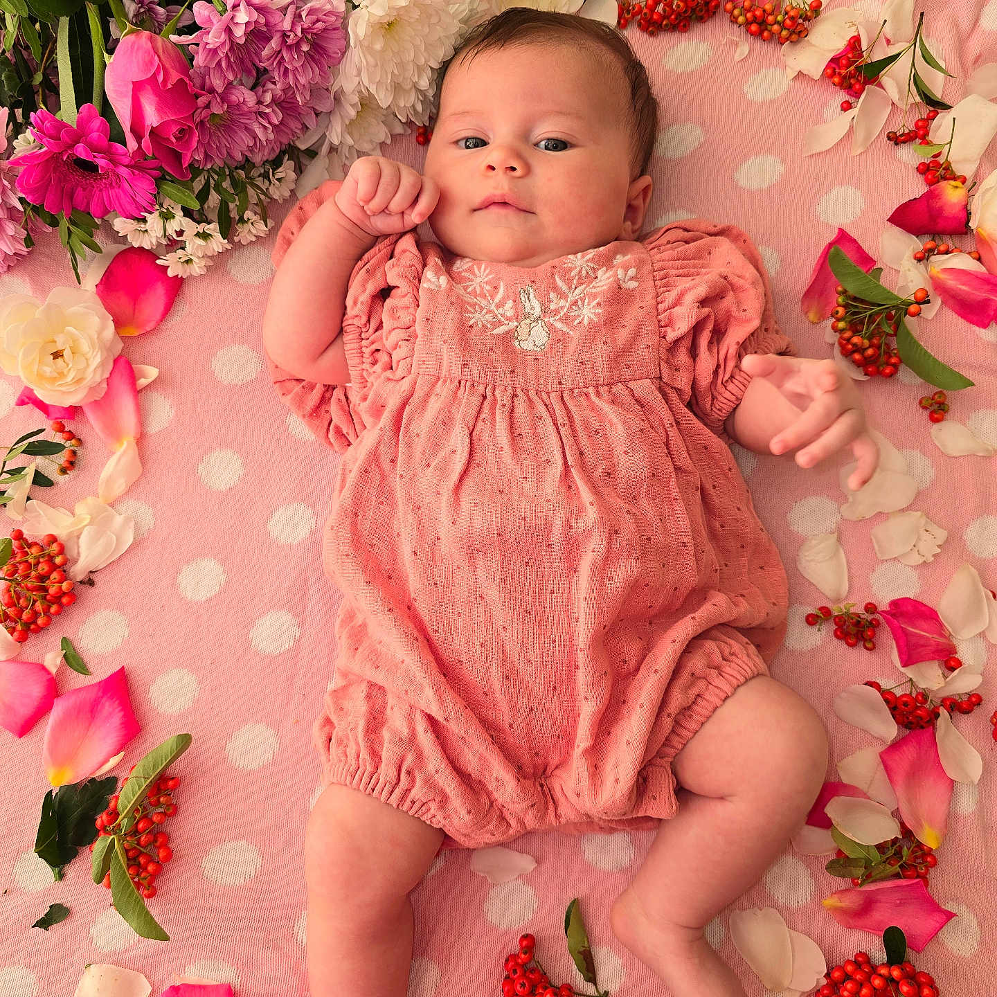 Melissa Ariana is registered to the contest to win money with this photo: baby, berries, blanket, cute, face, flower_arrangement, hands, head, infant, legs, lying_down, nature, outdoor_style, peaceful, petals, pink_clothing, polka_dot, portrait, skin, soft_texture