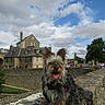 architecture, clouds, daytime, dog, ears, fur, greenery, happy, historic_buildings, outdoor, person, pet, sky, stone_wall, tongue_out, tourist, travel, tree, urban, walking_harness