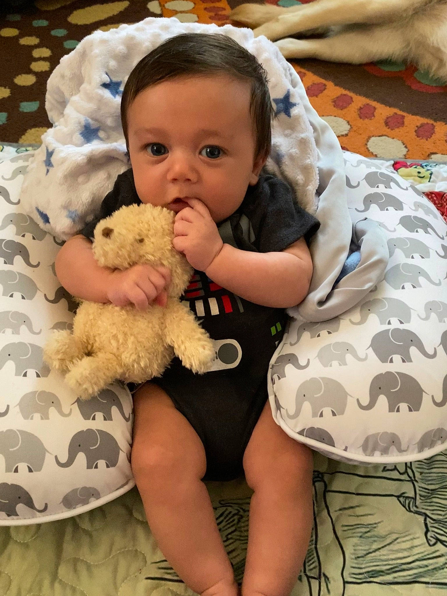 Cory joined the competition — help win amazing prizes! baby, baby_products, cheek, child, person, product, skin, stuffed_toy, teddy_bear, toddler, toy