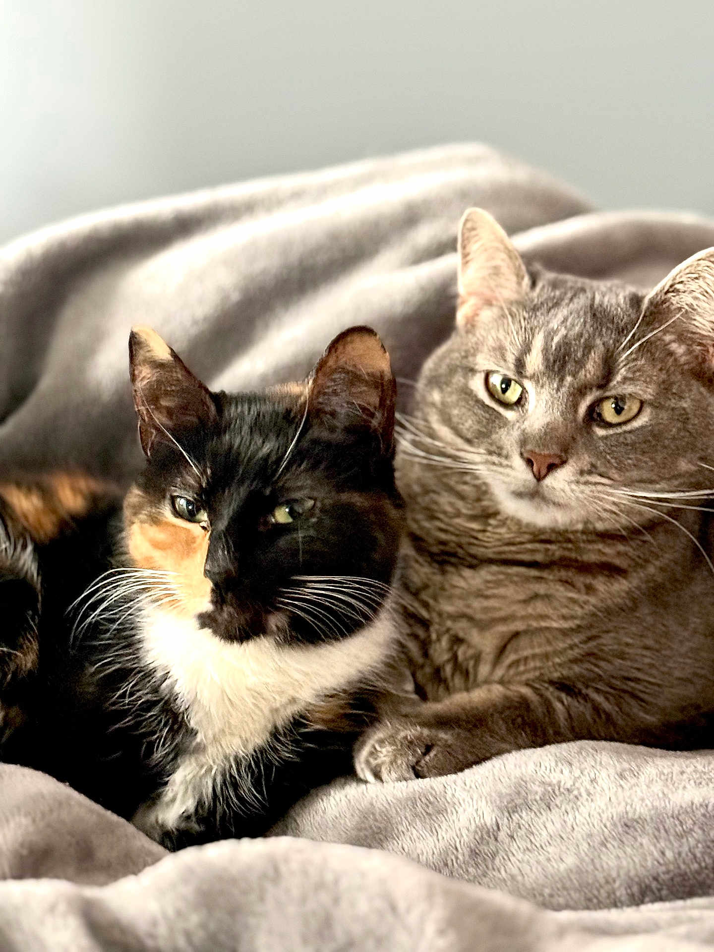 Cali And Frankie