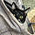 Cat Cat