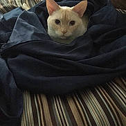 Duchess joined the competition — help win amazing prizes!