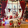 Giulia participe au concours pour gagner de l'argent avec cette photo : christmas, christmas_tree, curtain, cute, decorations, dog, festive, floor, gift, holiday, holiday_spirit, indoor, lights, plush_toy, present, red_bandana, snowman, window, winter_scene, wood_floor