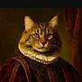 R'Mess participe au concours pour gagner de l'argent avec cette photo : animal_portrait, aristocratic, brown_background, cat, closeup, costume, dramatic_lighting, dressed_up, feline, fur, golden_eyes, historical_clothing, indoor, mystical, painting_style, portrait, renaissance, royal, ruffled_collar, serious_expression