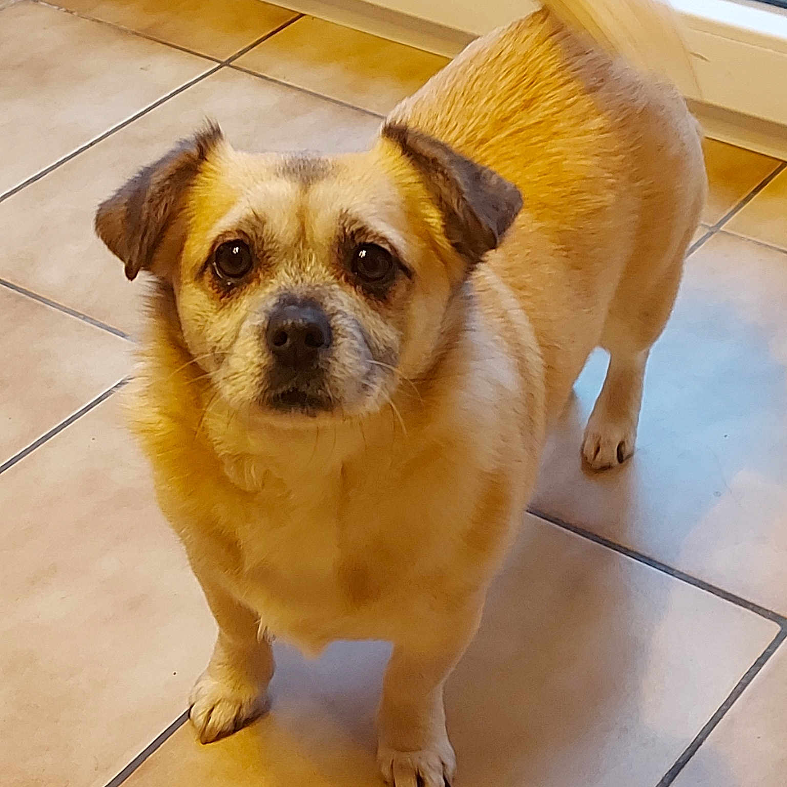 Aiko
