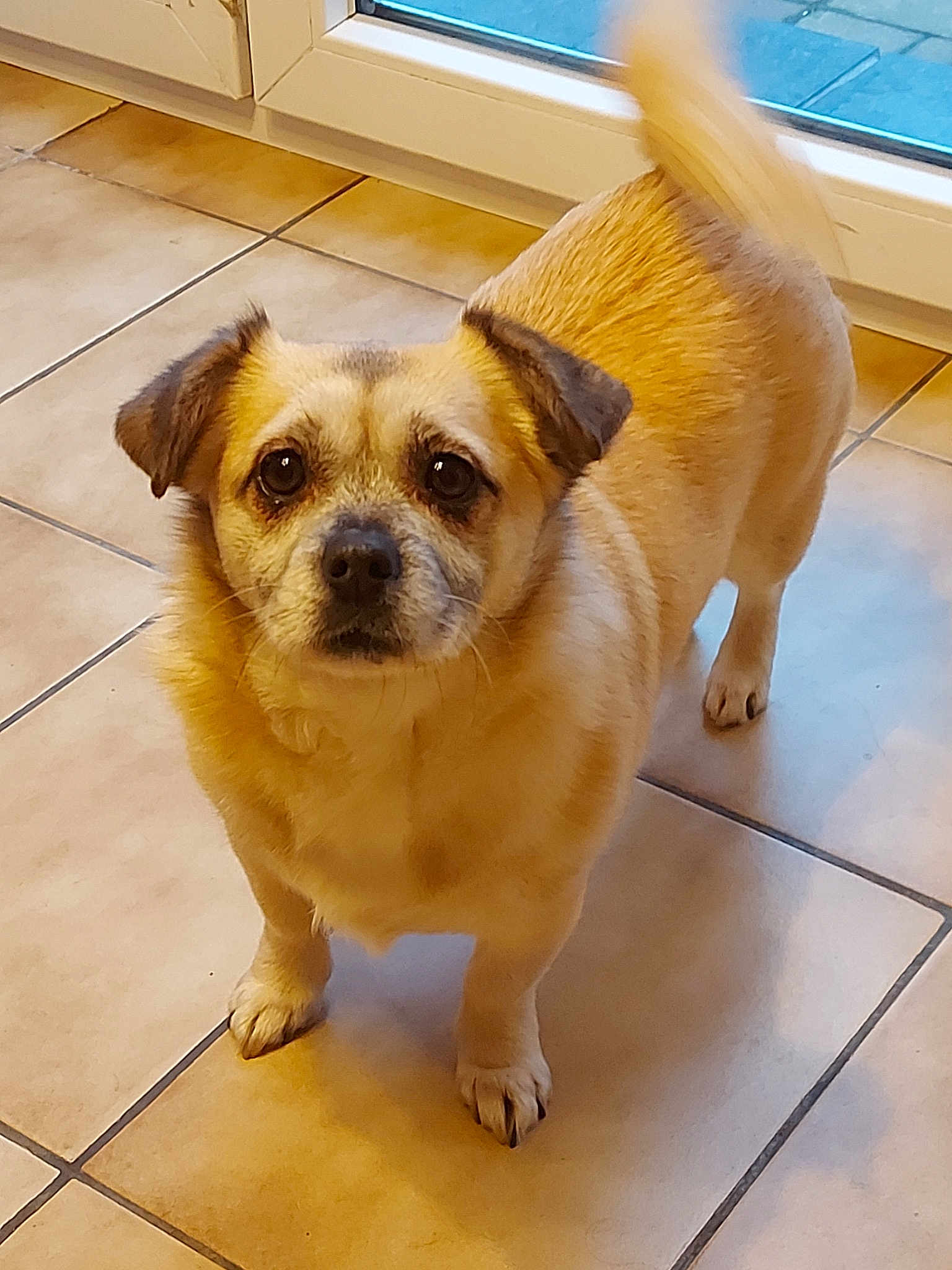 Aiko