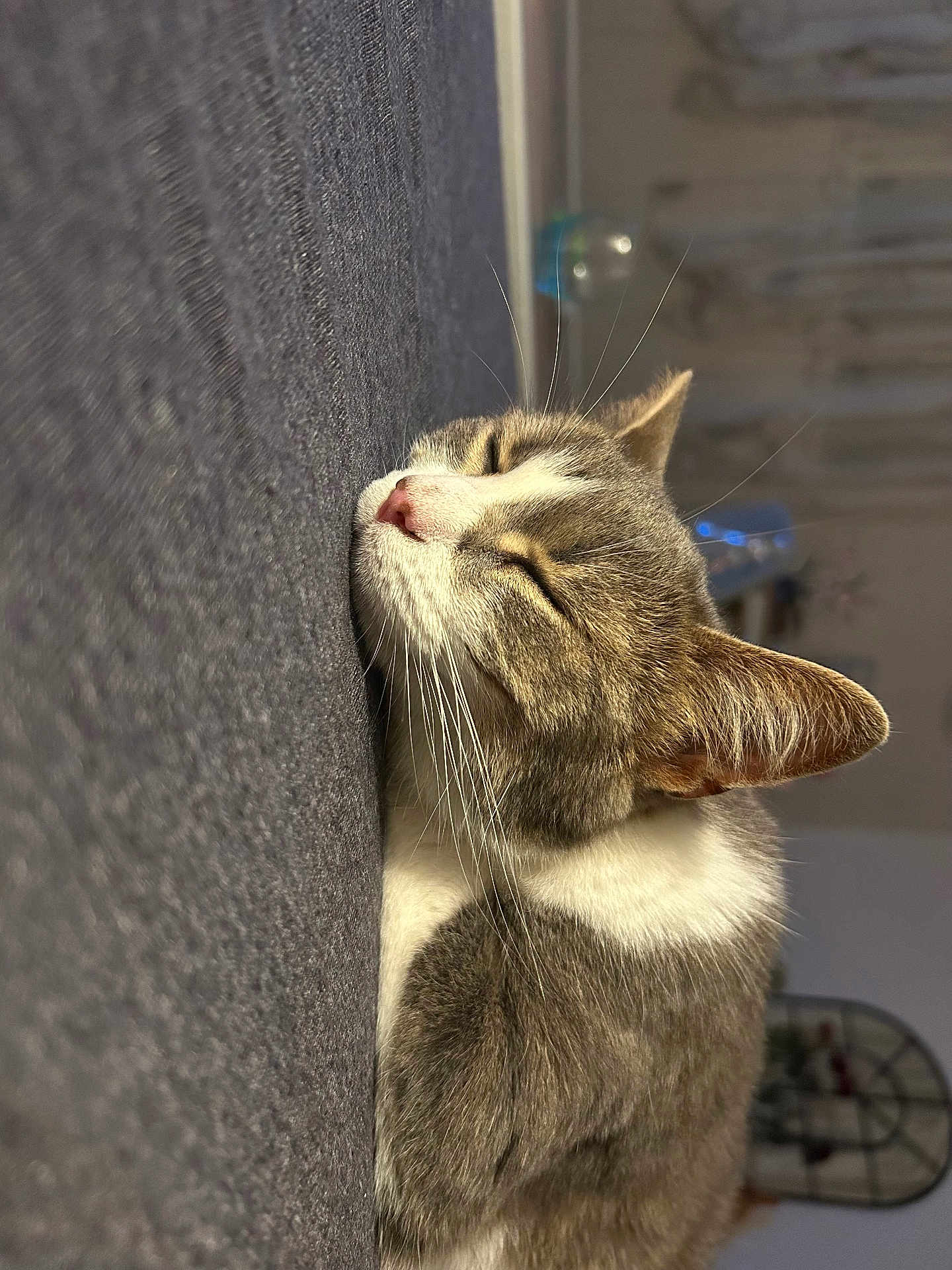 Nala