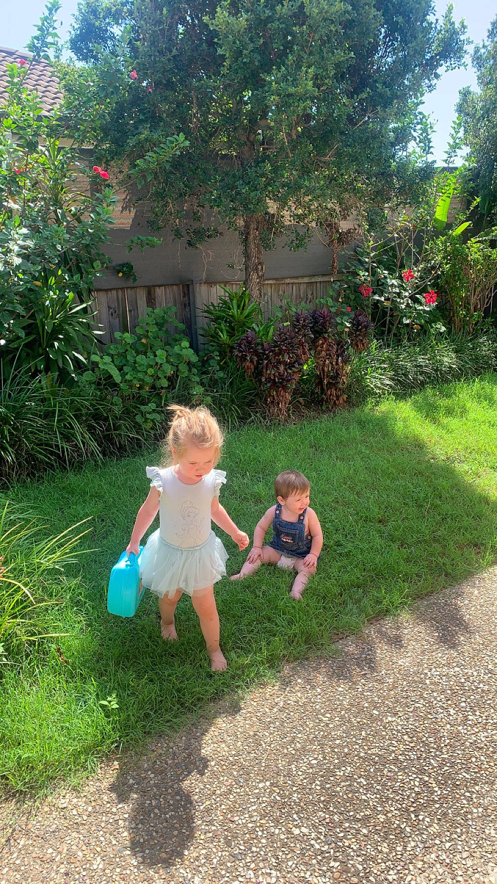 Isla joined the competition — help win amazing prizes! baby_toddler_clothing, botany, fawn, fun, garden, grass, groundcover, happy, landscape, landscaping, lawn, lawn_ornament, leisure, people_in_nature, person, plant, shrub, sitting, soil, toddler