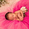 Sailor joined the competition — help win amazing prizes! baby, bedding, blanket, closed_eyes, curled_up, cute, fabric, face, floral, flowers, infant, newborn, peaceful, photography, pink, portrait, rose, sleeping, studio, tulle