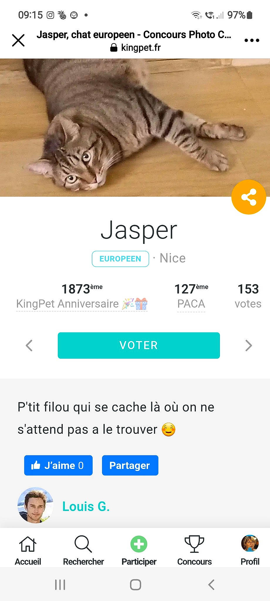 Neyl a rejoint le concours — aidez-le/la à gagner de superbes lots ! big_cats, brand, carnivore, cat, domestic_short_haired_cat, felidae, font, fur, light, line, paw, product, screenshot, siberian_tiger, small_to_medium_sized_cats, tail, terrestrial_animal, tiger, whiskers, wood