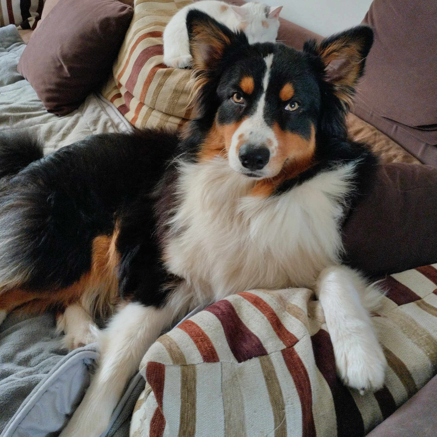 Ralph