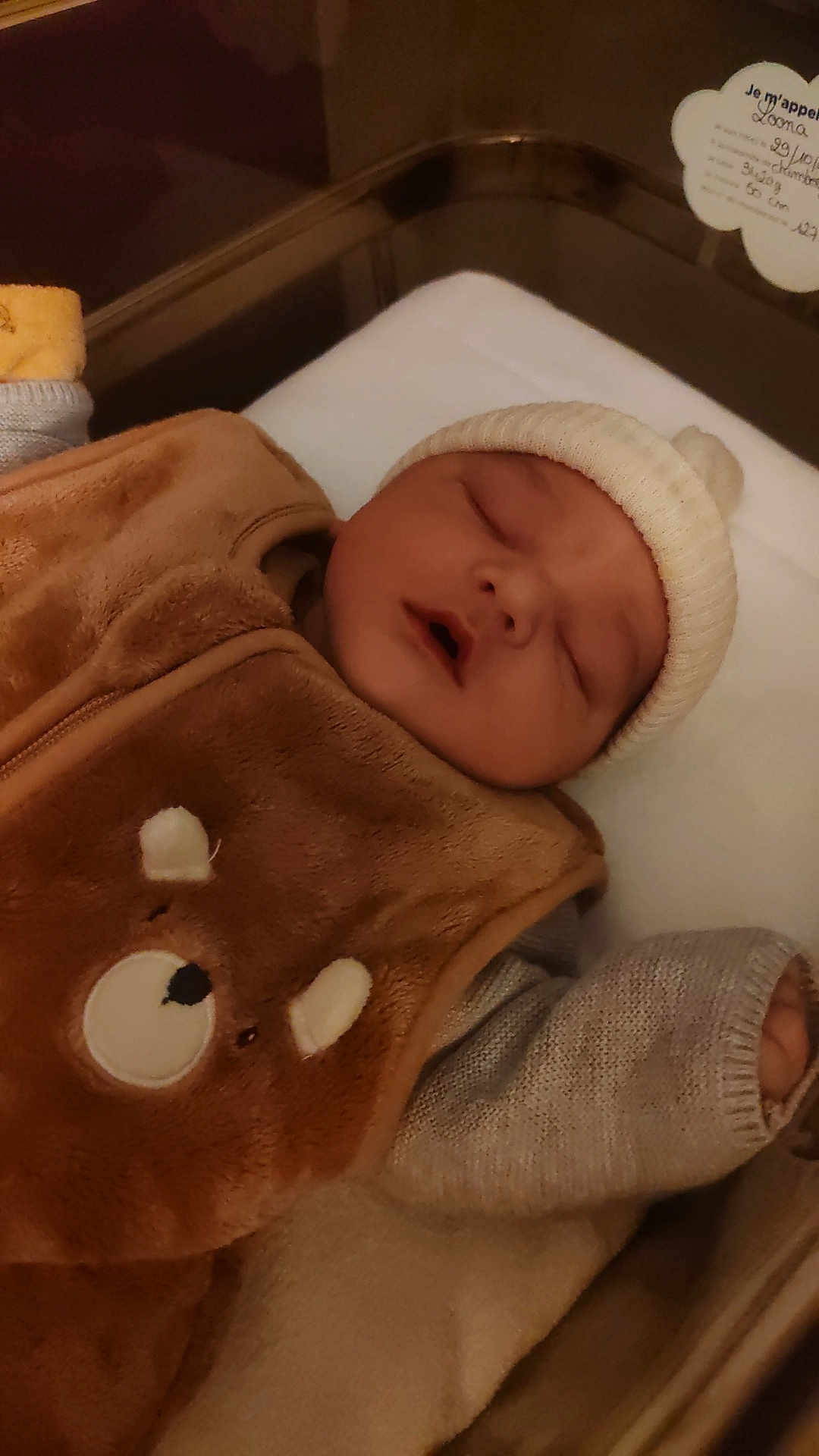 Loona a rejoint le concours — aidez-le/la à gagner de superbes lots ! newborn, baby, sleeping, blanket, bear_design, knit_hat, hospital_bassinet, cozy, infant, soft_lighting, peaceful, cute, child, portrait, bed, clothing, rest, warm, indoors, sleep