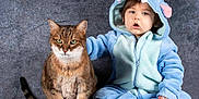 Sacha participe au concours pour gagner de l'argent avec cette photo : animal, baby, blanket, cat, clothing, coat, face, hat, head, hood, hoodie, knitwear, pants, person, pet, photography, portrait, sitting, sweater, sweatshirt