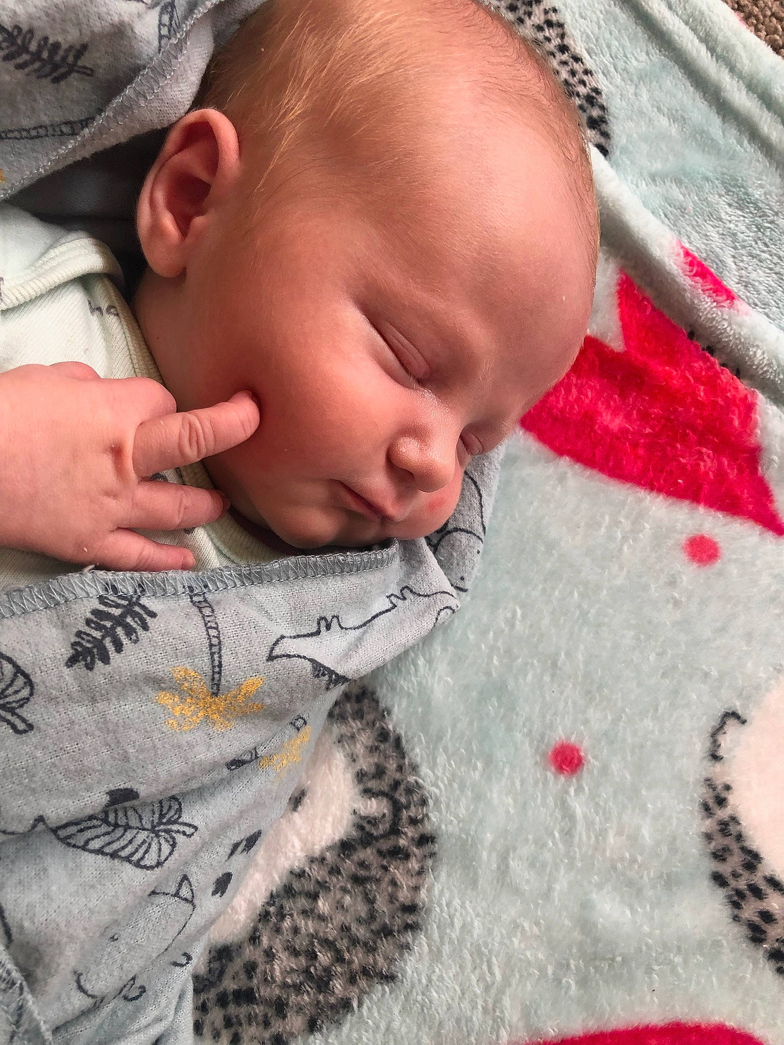 Kaysen is registered to the contest to win money with this photo: baby, baby_sleeping, baby_toddler_clothing, bedtime, cheek, child, close_up, comfort, cool, flooring, grass, linens, lip, mouth, nose, pattern, person, skin, textile, toddler