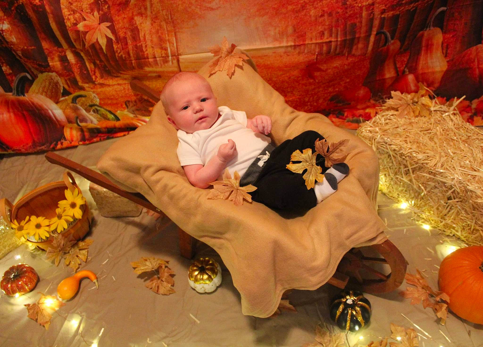 Kaysen is registered to the contest to win money with this photo: baby, baby_toddler_clothing, calabaza, child, comfort, cucurbita, event, flooring, fun, gourd, happy, orange, person, pumpkin, room, sitting, textile, toddler, toy, tradition
