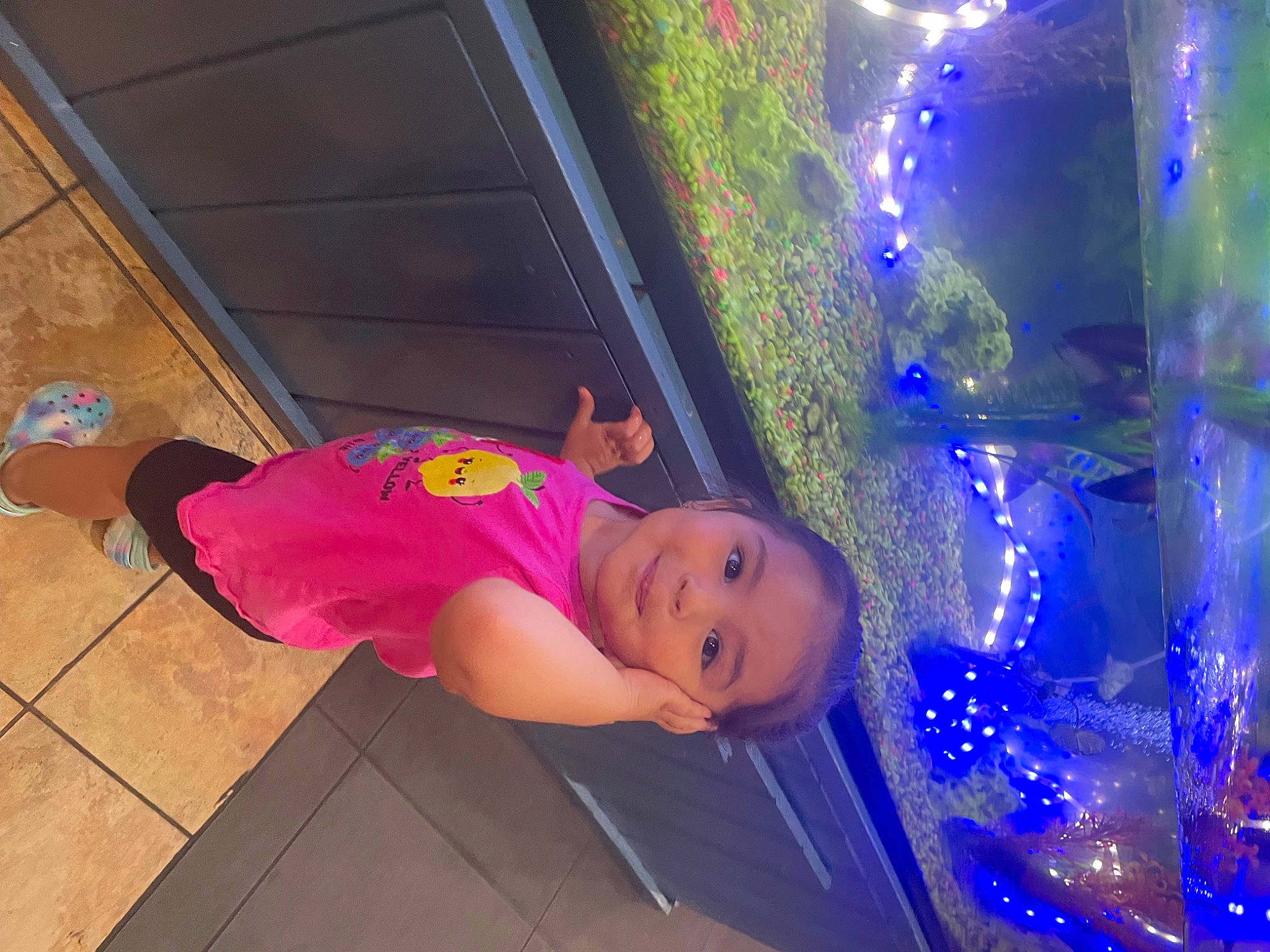 Yasmin joined the competition — help win amazing prizes! child, electric_blue, entertainment, event, flooring, fun, glass, hat, holiday, leisure, magenta, person, plant, purple, smile, thigh, toddler, tree, vacation