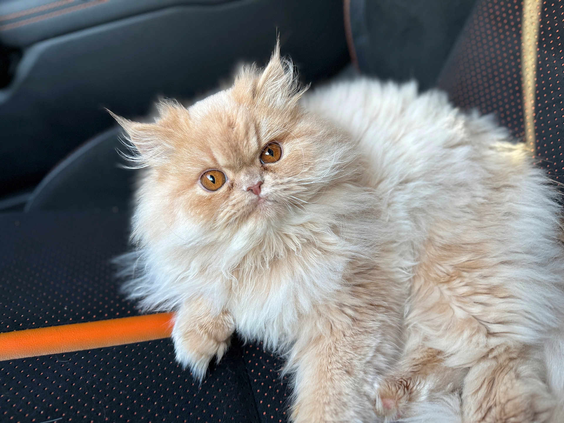 Juno