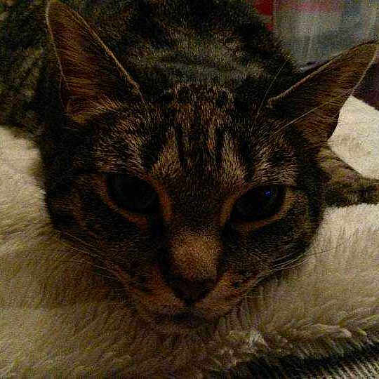 Misty is registered to the contest to win money with this photo: