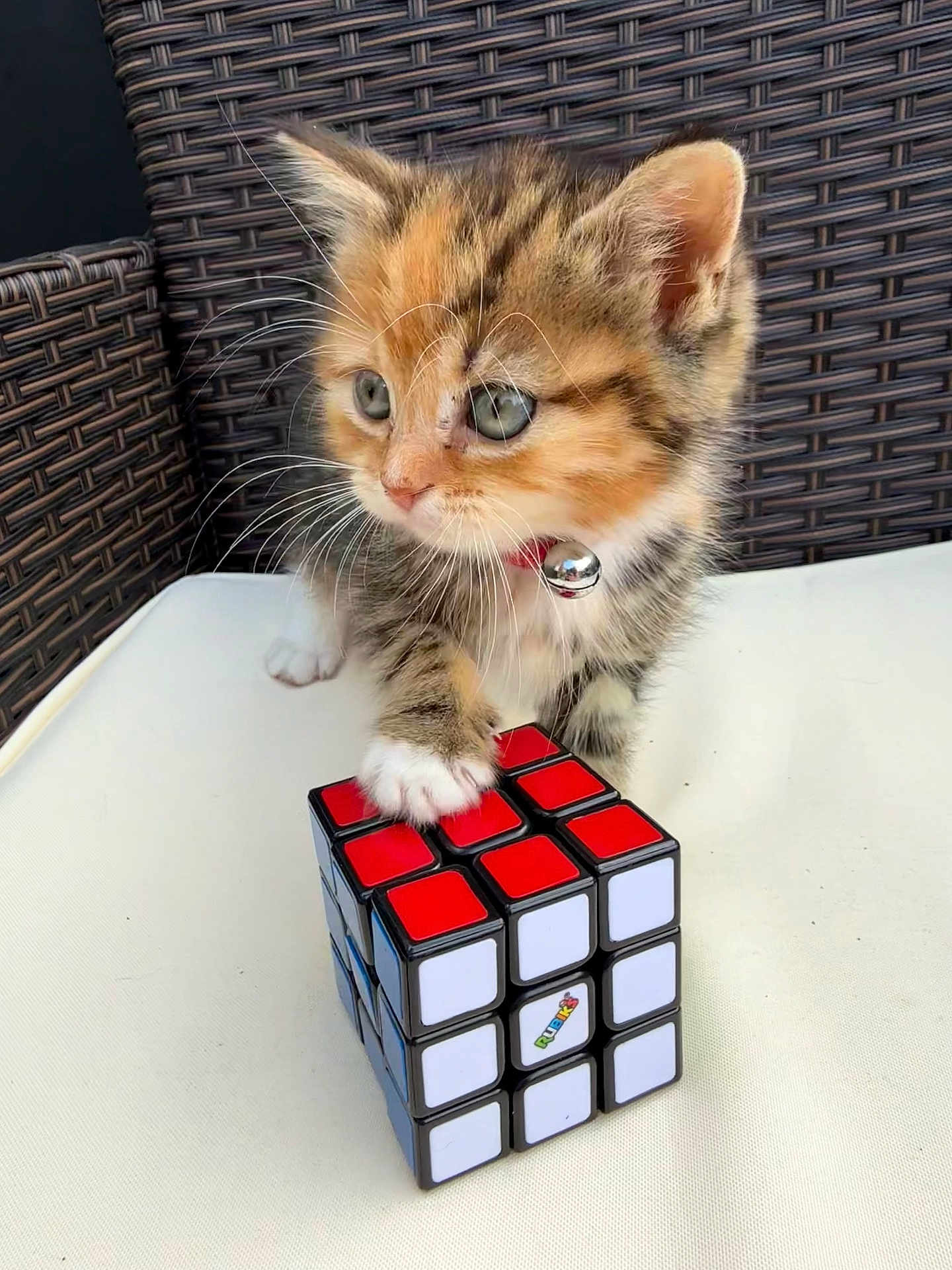 Rubiks