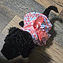 dog, poodle, small_dog, black_dog, pet, floral_dress, pink_bow, clothing, wooden_floor, indoor, cute, puppy, animal, pet_fashion, curious, tail, standing, top_view, adorable, domestic