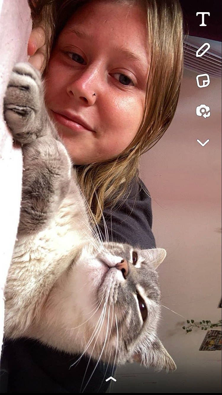 Ayanno participe au concours pour gagner de l'argent avec cette photo : beard, brown_hair, carnivore, cat, close_up, domestic_short_haired_cat, ear, eyelash, fawn, felidae, fur, gesture, happy, nose, organ, skin, small_to_medium_sized_cats, snapshot, snout, whiskers