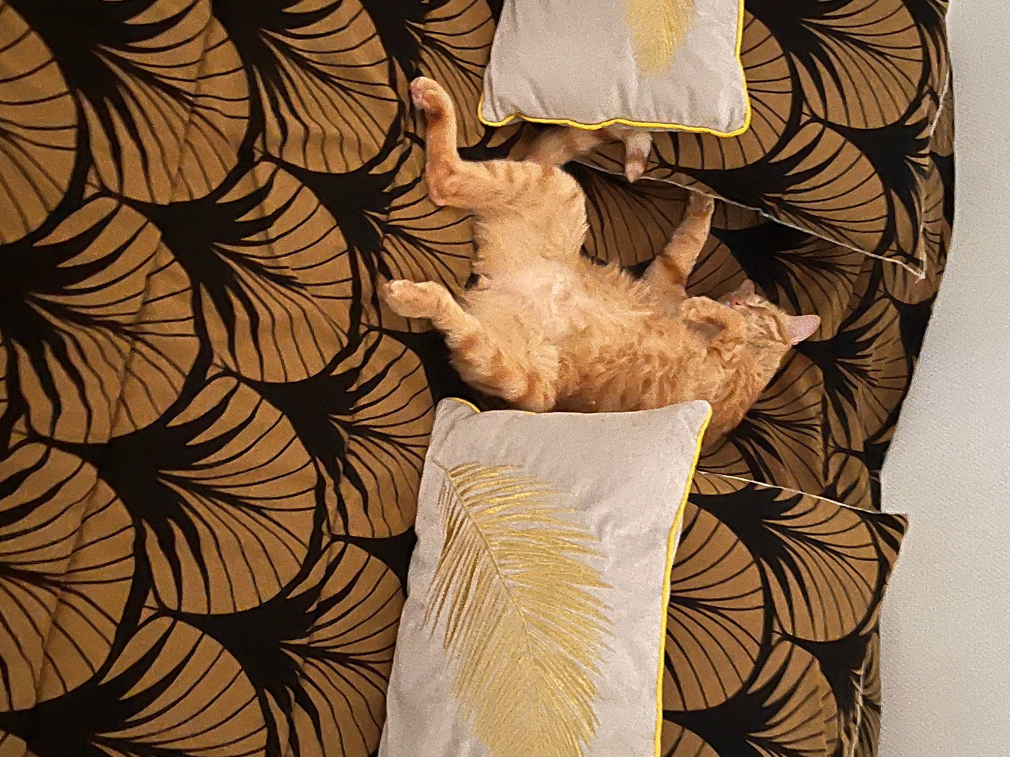 Oslo participe au concours pour gagner de l'argent avec cette photo : art, classical_sculpture, design, feather, flooring, font, illustration, lamp, lampshade, lighting_accessory, linens, pattern, sculpture, statue, symmetry, textile, tints_and_shades, visual_arts, wing, wood