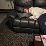 person, cat, couch, leather, pet_bed, glasses, hoodie, carpet, treadmill, table, coaster, butterfly, indoor, resting, relaxed, curled_up, black_cat, home, casual, comfort