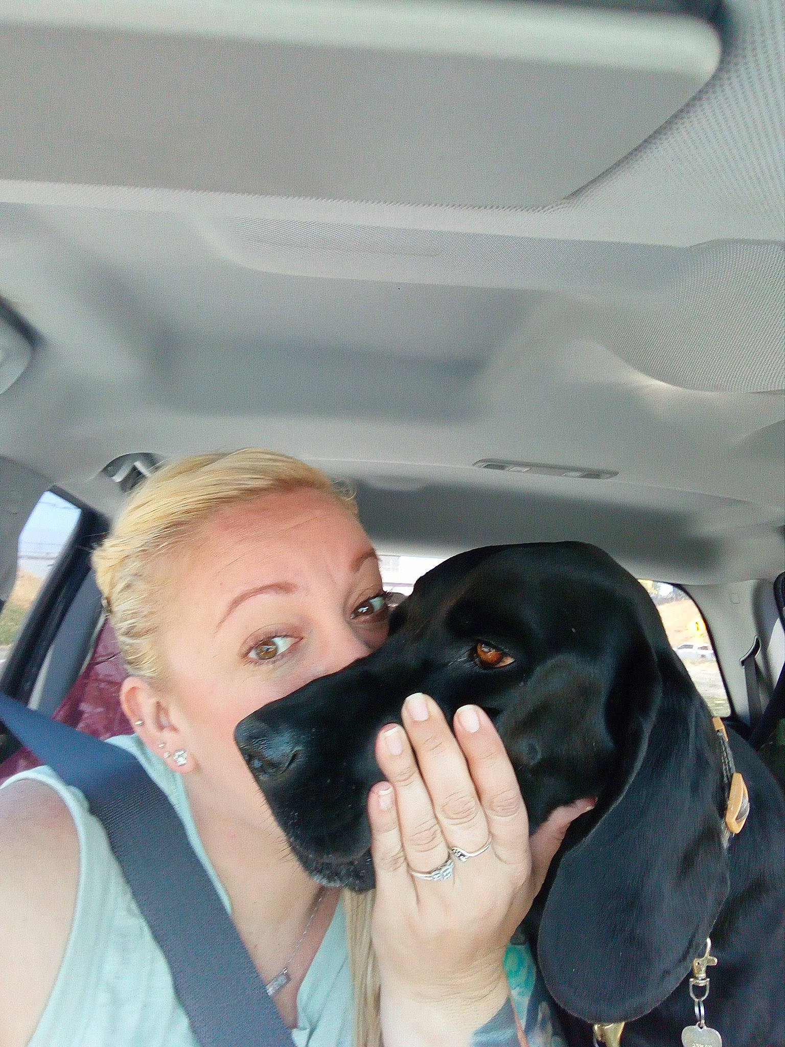 Gus joined the competition — help win amazing prizes! automotive_design, automotive_exterior, canidae, car_seat, carnivore, comfort, companion_dog, dog, dog_breed, eyewear, family_car, flash_photography, gesture, happy, head_restraint, motor_vehicle, nail, personal_luxury_car, sporting_group, vehicle_door