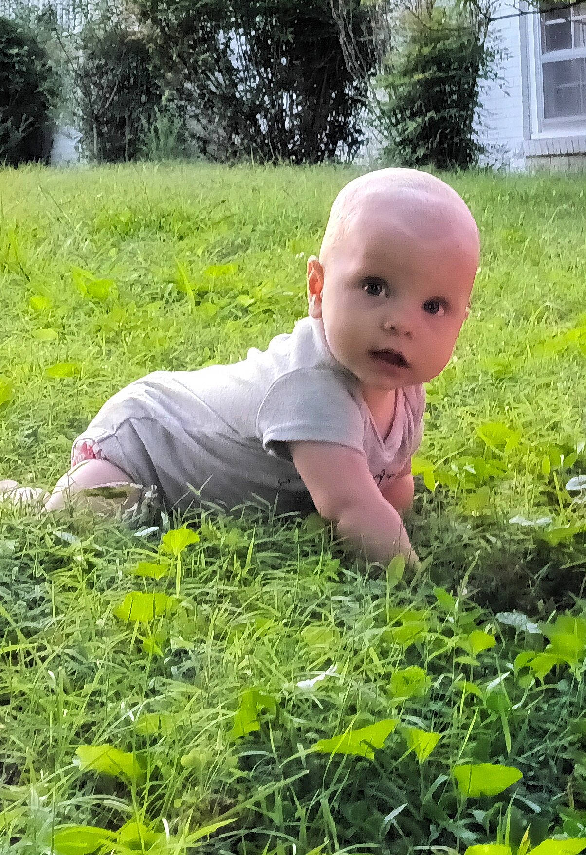 Jude joined the competition — help win amazing prizes! baby, baby_toddler_clothing, child, dress, garden, grass, grassland, groundcover, happy, lawn, people_in_nature, person, plant, prairie, shrub, sitting, soil, terrestrial_plant, toddler, tree