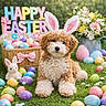 basket, bunny_ears, costume, cute, decorations, dog, easter, easter_eggs, flowers, grass, holiday, outdoor, pastel_colors, pet, plush_toy, portrait, puppy, sign, sitting, spring
