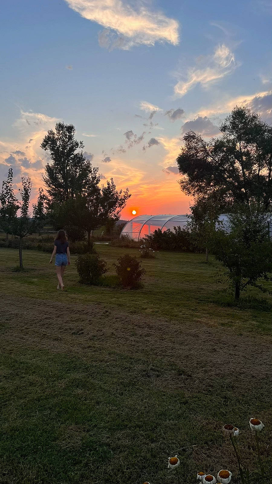 Eléonor a rejoint le concours — aidez-le/la à gagner de superbes lots ! afterglow, cloud, dusk, ecoregion, grass, grassland, horizon, landscape, meadow, natural_landscape, person, plain, plant, red_sky_at_morning, rural_area, sky, sun, sunrise, sunset, tints_and_shades