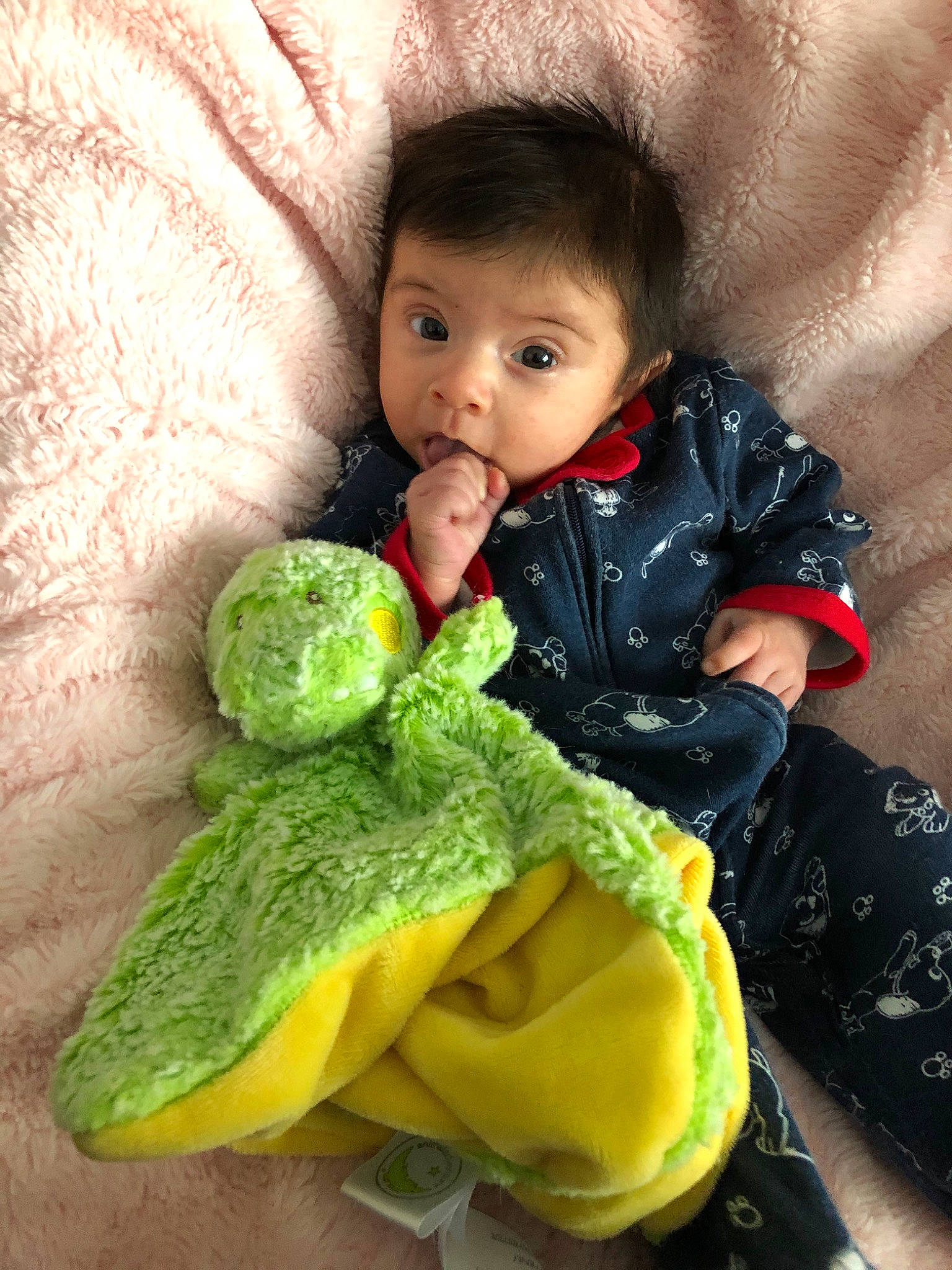 Sailor joined the competition — help win amazing prizes! baby, cabbage, child, leaf_vegetable, person, plant, surprise, toddler