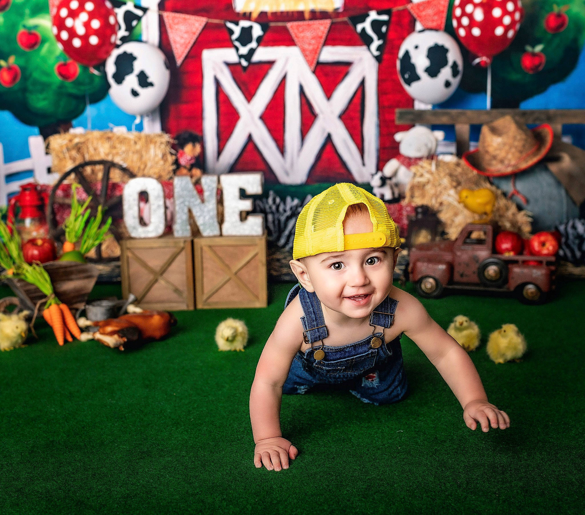 Dawson is registered to the contest to win money with this photo: animated_cartoon, flash_photography, flooring, font, fun, games, grass, green, happy, headwear, joy, leisure, mammal, person, play, recreation, smile, snapshot, stuffed_toy, t_shirt