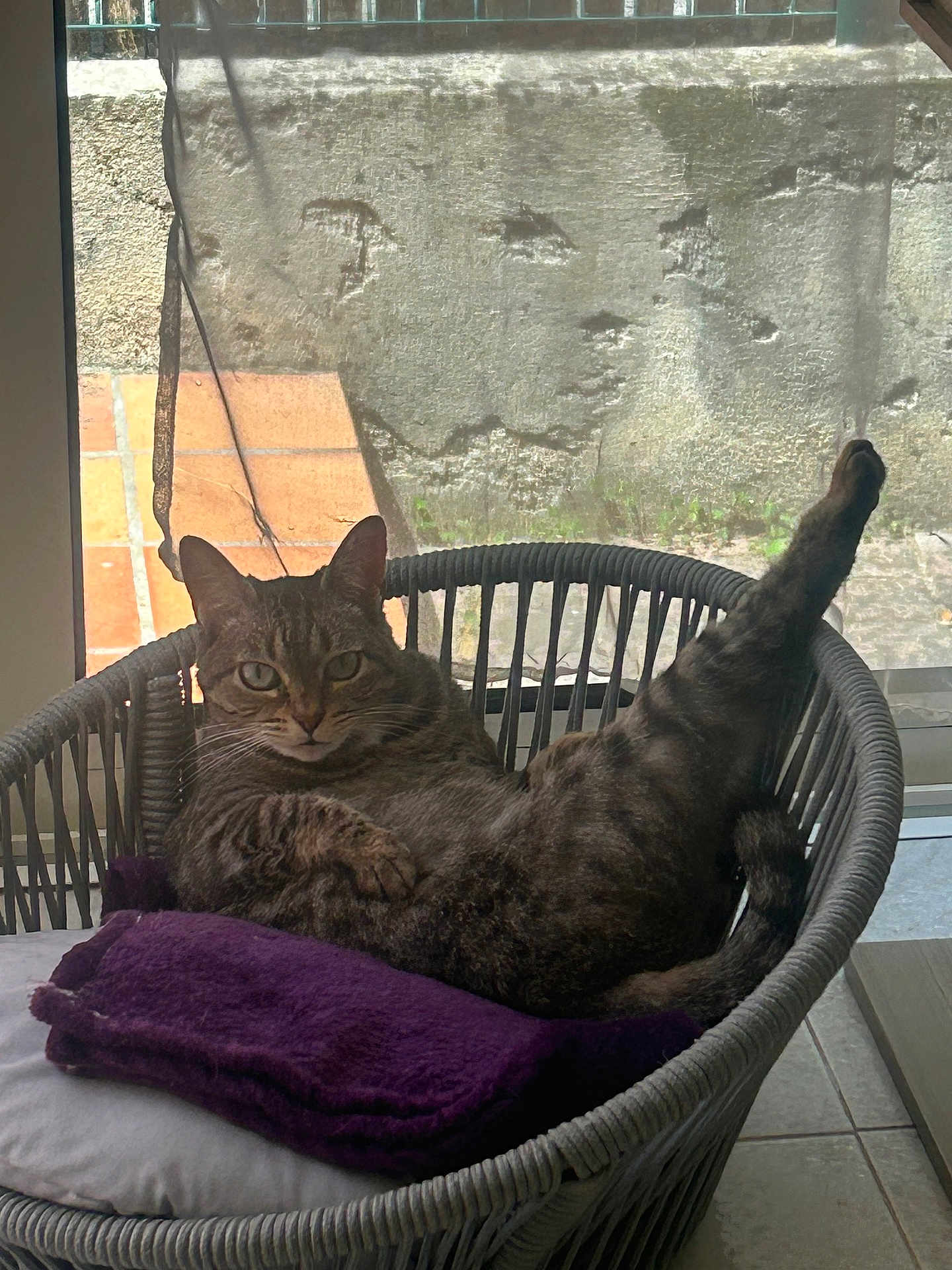 Lua