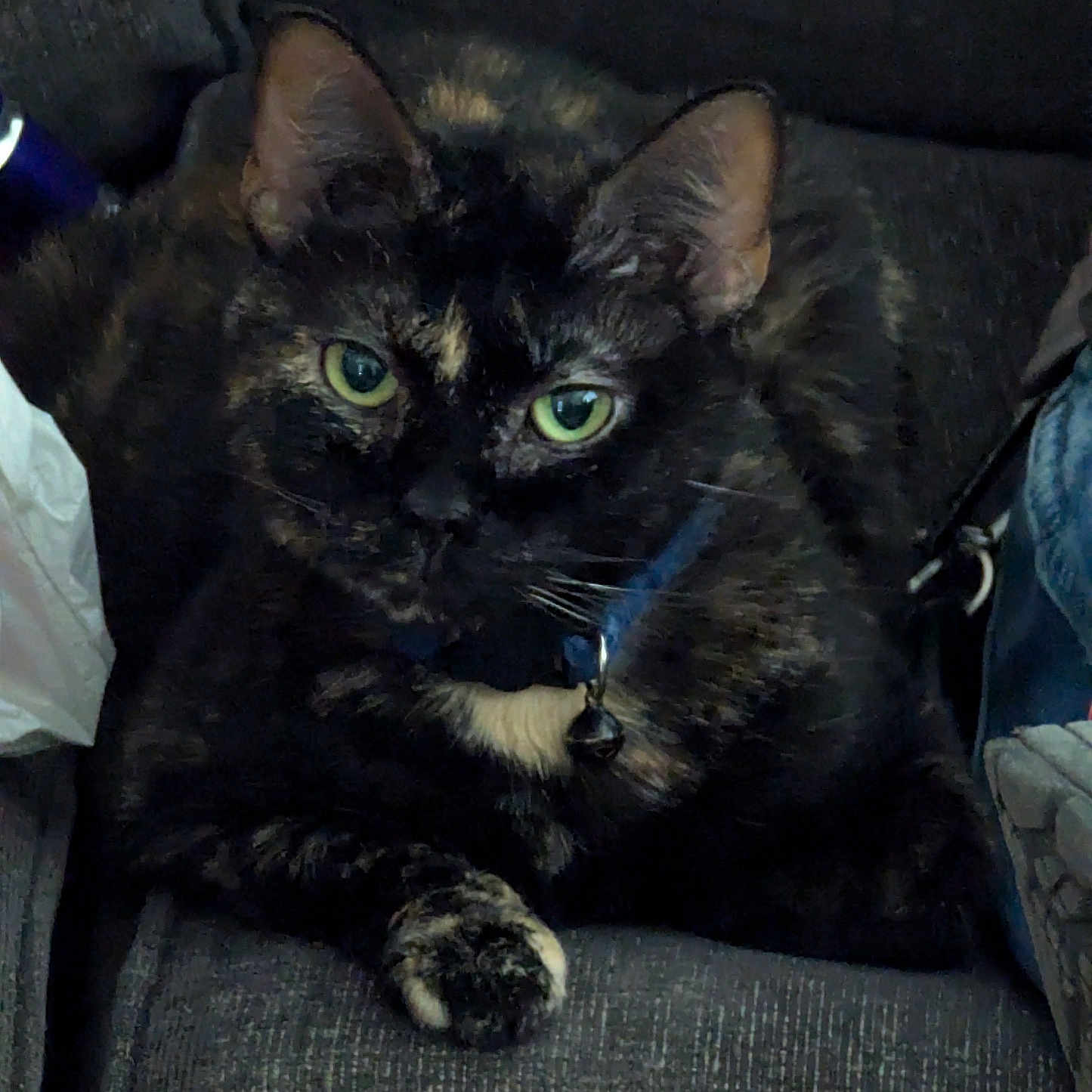 Tiny Tina