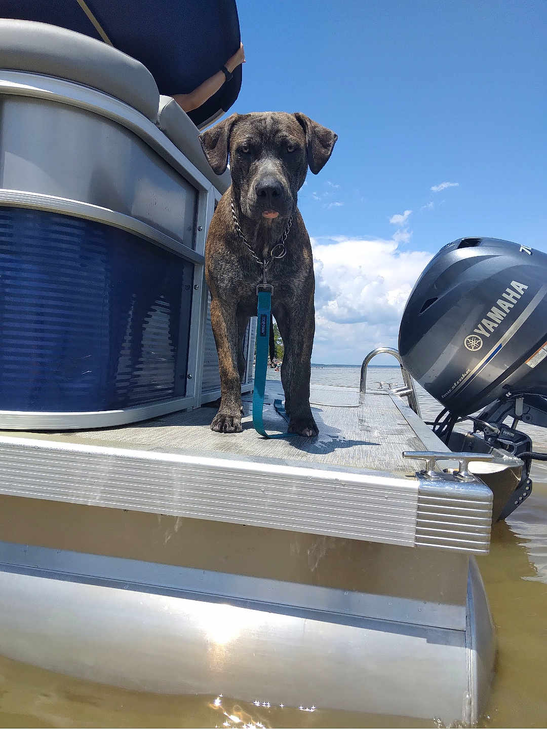 Ottis