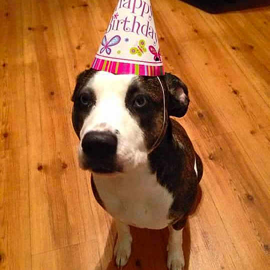 Nixie joined the competition — help win amazing prizes!