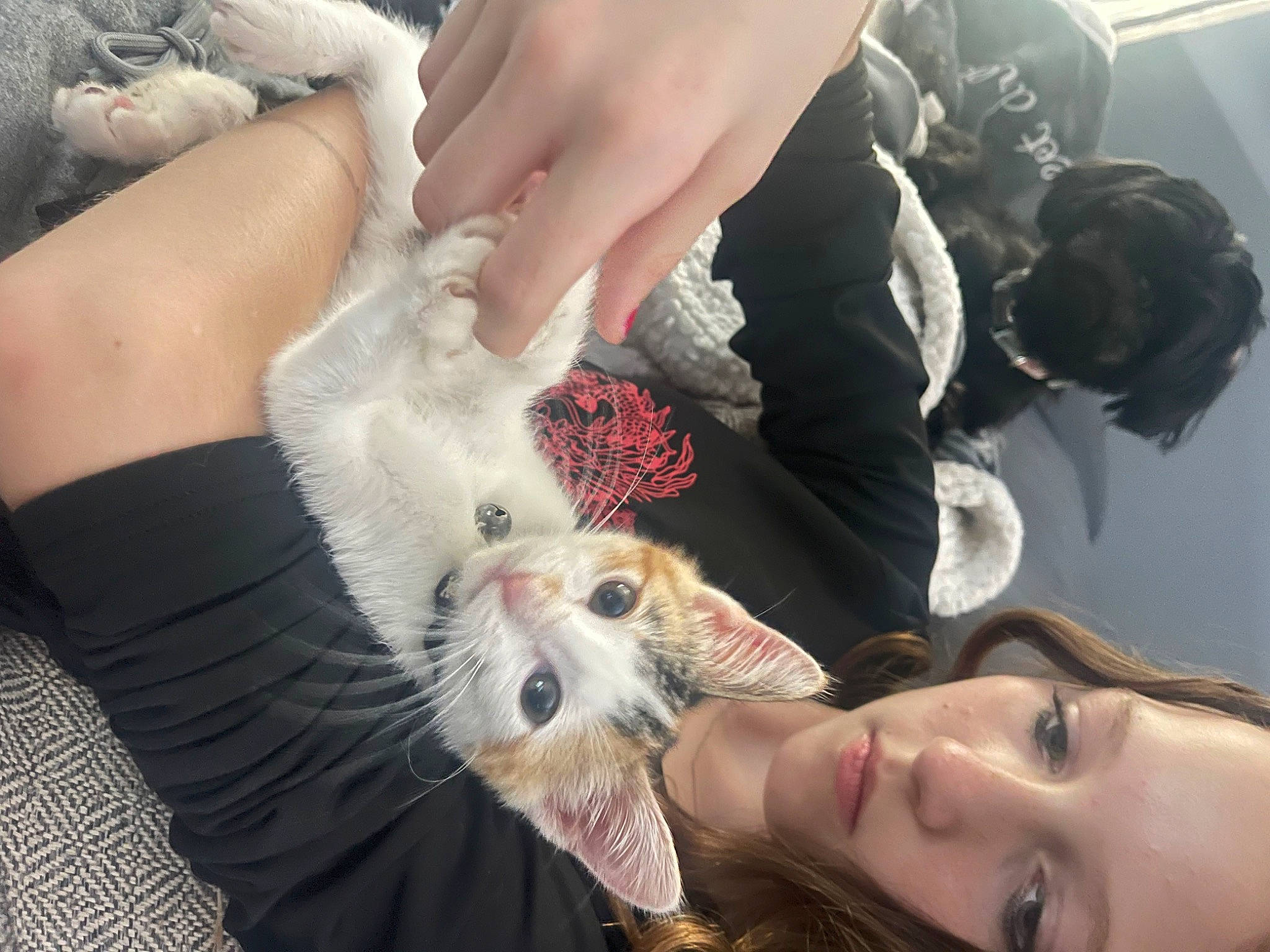 Abrie joined the competition — help win amazing prizes! companion_dog, dress, eyelash, fawn, finger, fun, fur, gesture, hand, happy, human_leg, mammal, nail, person, skin, sunglasses, thumb, toy, tree, vertebrate