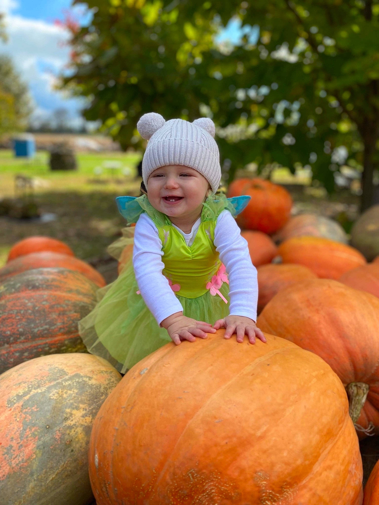 Peyton joined the competition — help win amazing prizes! botany, calabaza, cloud, cucurbita, eye, facial_expression, gourd, grass, happy, headwear, joy, leaf, natural_foods, orange, person, photograph, plant, pumpkin, smile, squash