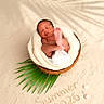 newborn, baby, coconut_shell, blanket, sand, beach, palm_leaf, seashells, sleeping, infant, summer, portrait, closeup, cute, resting, natural_light, outdoor, holiday, tropical, cozy
