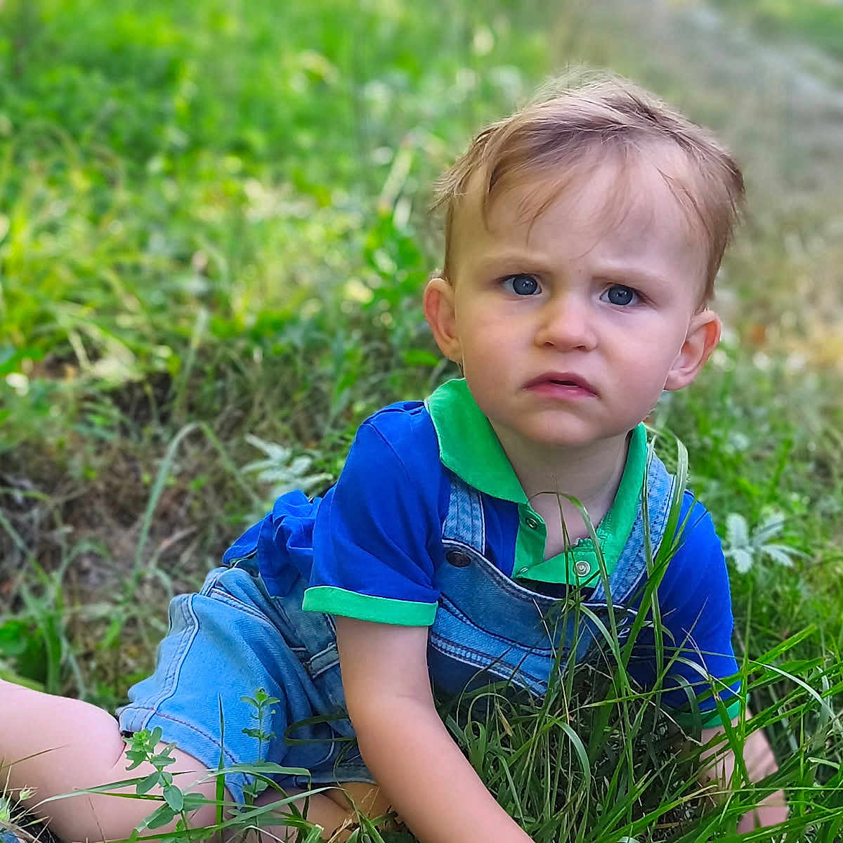 Enzo participe au concours pour gagner de l'argent avec cette photo : barefoot, blue_shirt, casual_clothing, child, crawling, curious, daylight, expression, face, grass, greenery, kid, nature, outdoor, overalls, person, plants, summer, toddler, young_child