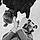 Romain L.